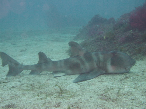 P6250938