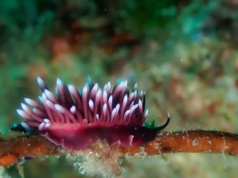 E22A50F0-77EC-45E6-9B26-6D0811D9E653