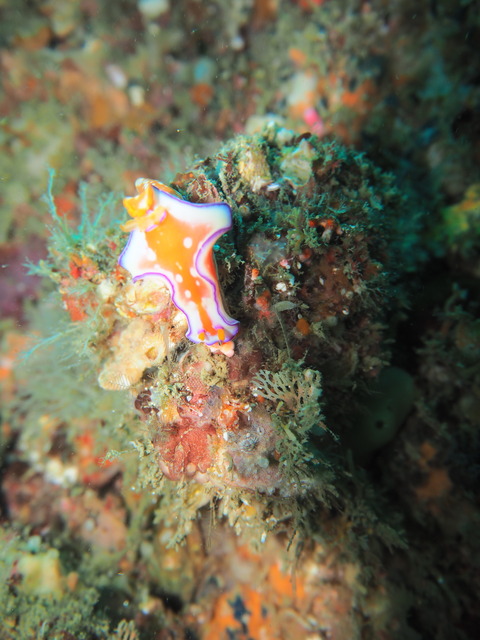 P8210028