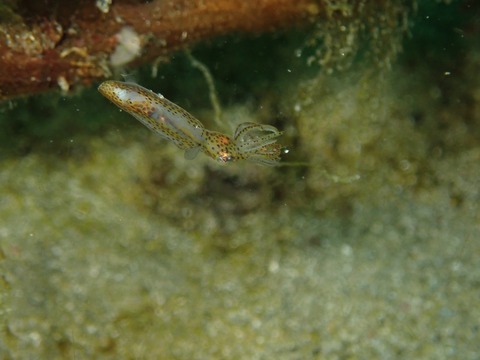P2250059