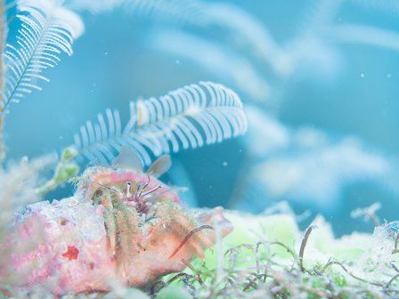 写真 2016-05-12 12 37 19