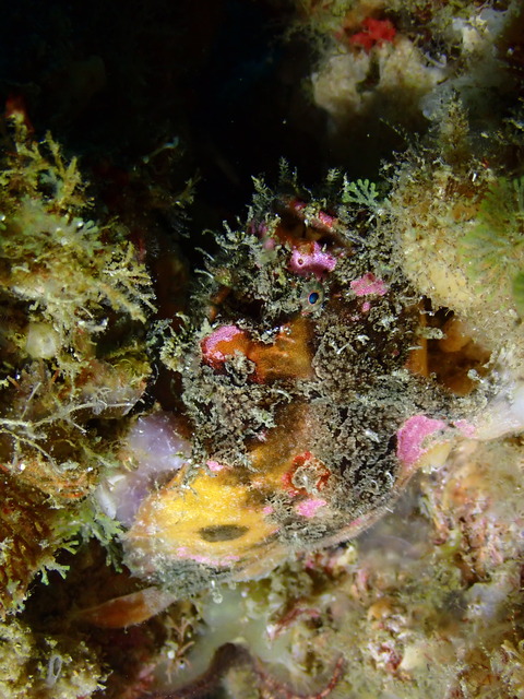 P8065425
