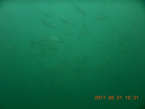 DSCN2415