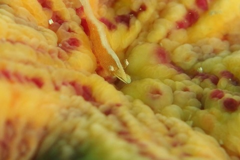 写真 2015-12-12 13 06 56