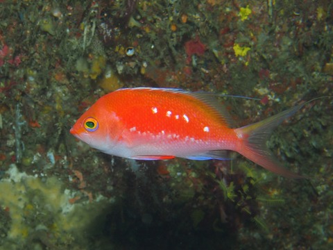 P8244174