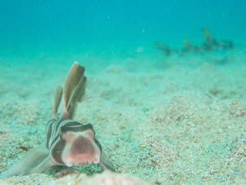 3CF7B0B0-311D-4EA4-BC6F-5173B094003B