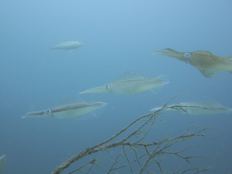 P8210111