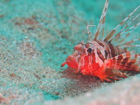 BC4C22C5-4D69-433A-8BC5-194F03957A6F