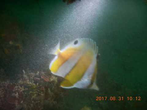 DSCN2372
