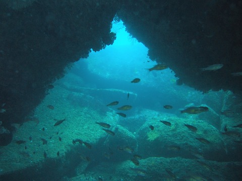 P8244194
