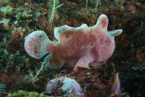 写真 2015-12-12 13 07 02