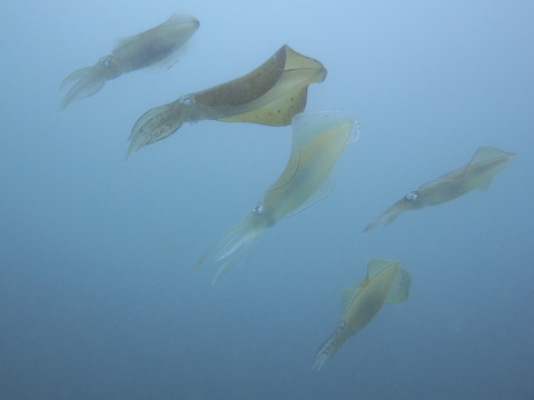 P8210102