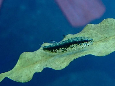 208826E6-B23C-4130-B863-4927CB64487F