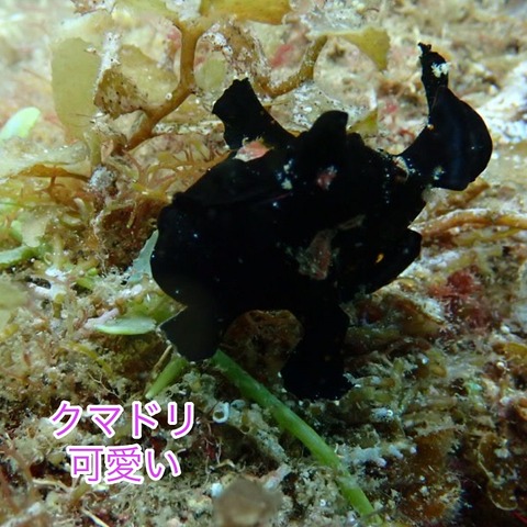 photo-output_1