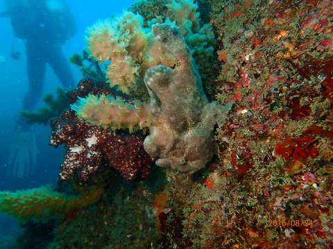 P8240094