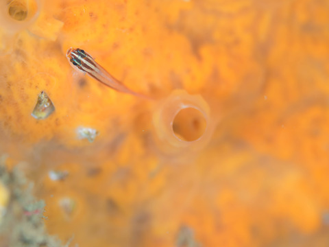 P3095298