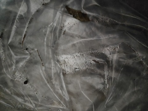 IMG20200725125734