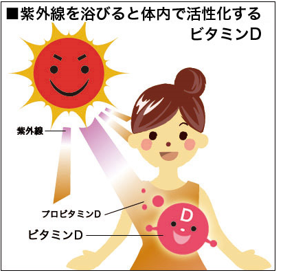 無題dd