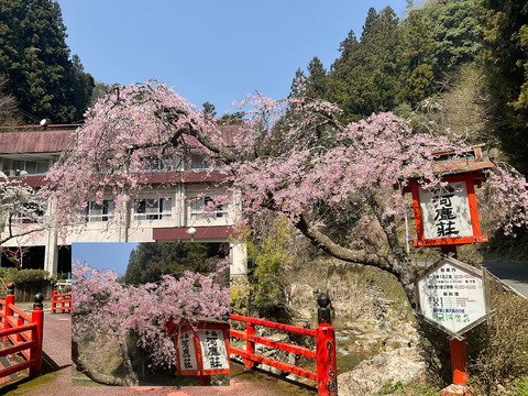 AE1AAD1F-595B-4400-9262-2F0E3E07BFD5