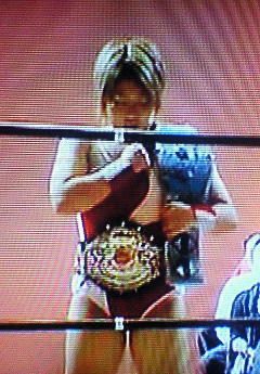 馬と岩石落とし ｂｌｏｇ ｋ