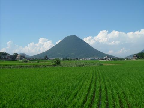 水曜どうでしょうは新手のサイバーテロみたいなもんですから ｂｌｏｇ ｋ