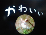 317b7487.jpg