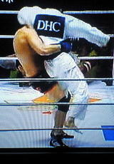 37cfc032.jpg