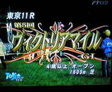 430234ed.jpg