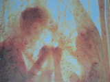 4cd3a513.jpg