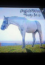 9320fdfa.jpg
