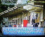 9acc0a82.jpg