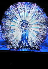 c395dd09.jpg