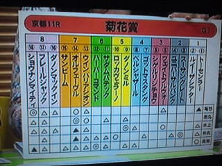 群れに答えなどない のか ｂｌｏｇ ｋ