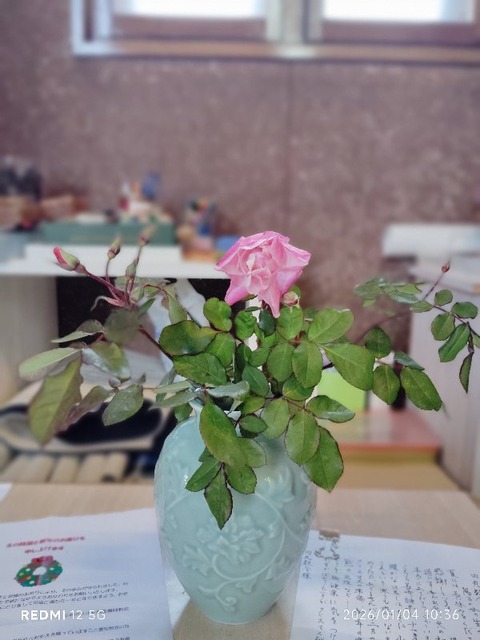IMG_20260104_103603