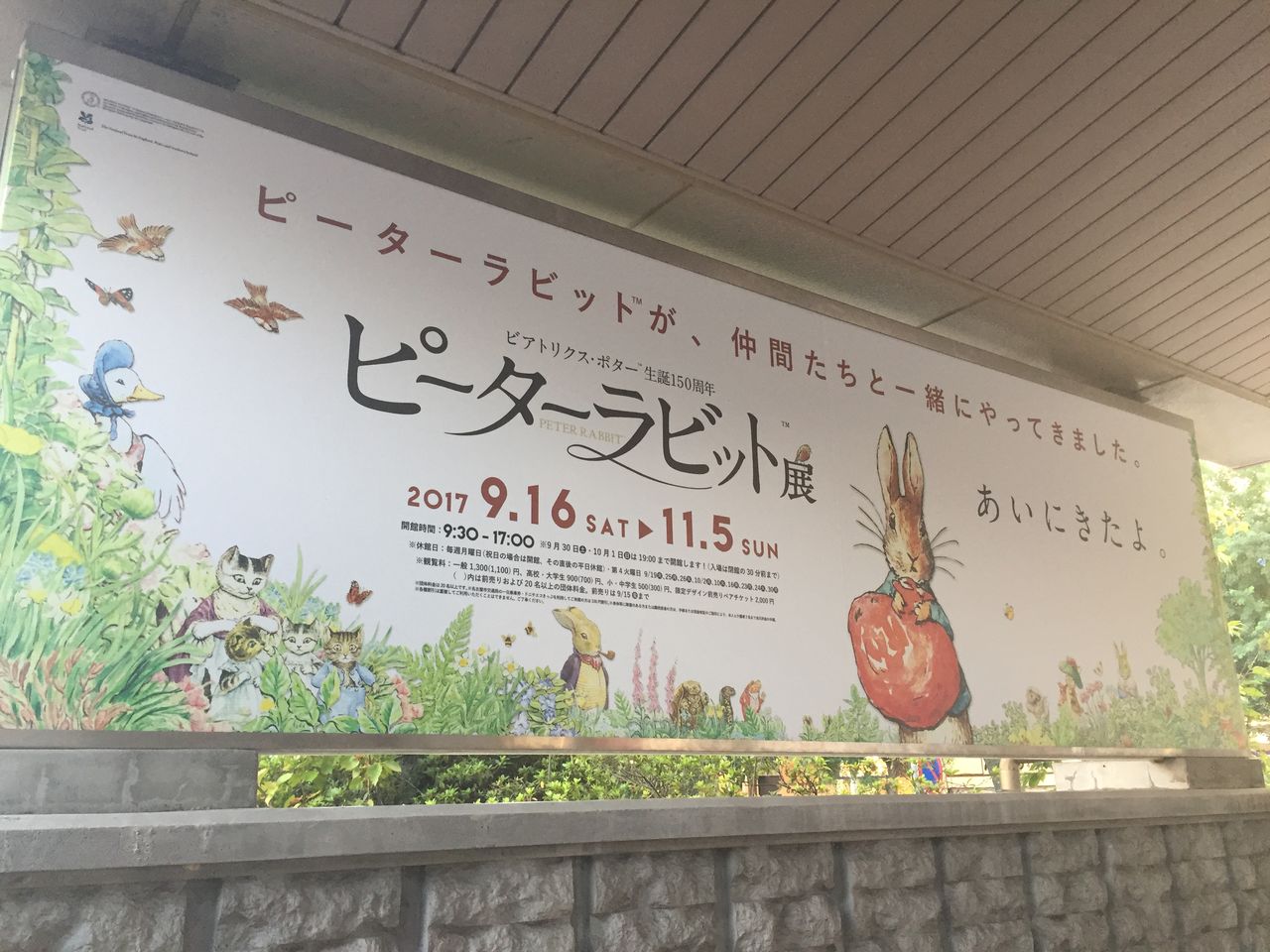 ピーターラビット展 名古屋市博物館 Y氏と愛知de食べ飲み日々 ピーターラビット展 名古屋市博物館 Y氏と愛知de食べ飲み日々