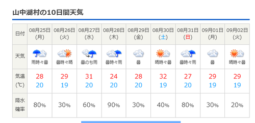 スクリーンショット (99)