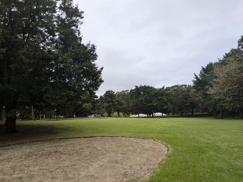 PXL_20240921_035606313