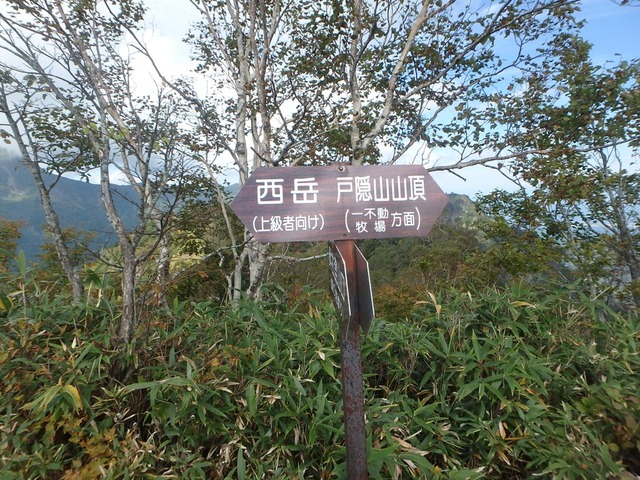 D31CD4EA-B96F-433E-B6EC-35535F6AA57B