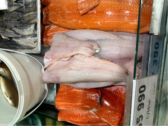 6AC15393-DC9D-453A-BA6B-4B6607EAD402