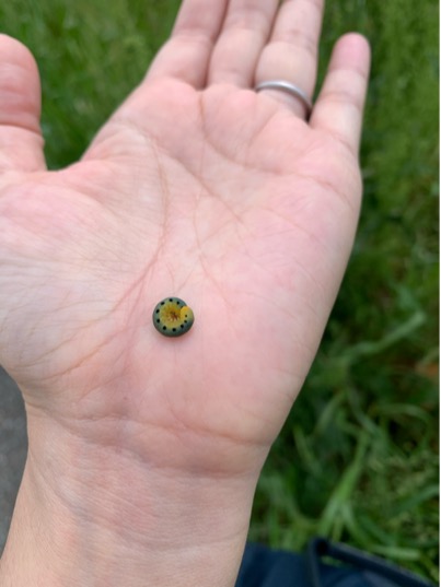 51262F0C-CB49-434B-ADB8-EC9D51D50DC2