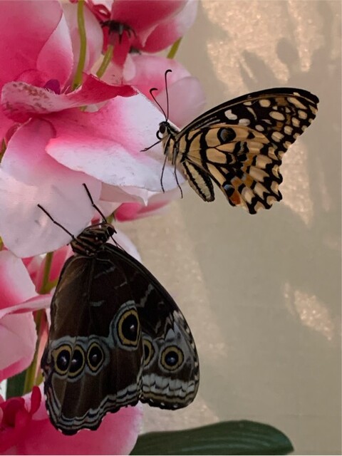 1ACEB112-2D25-4D2F-AC43-824B6251F447