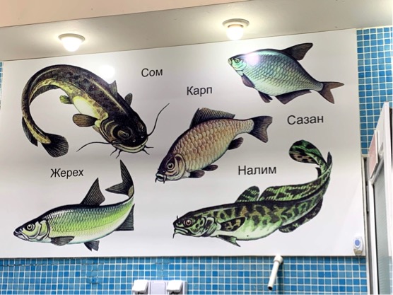 36FFC6B9-220D-4FD2-BE79-901EF102BE08