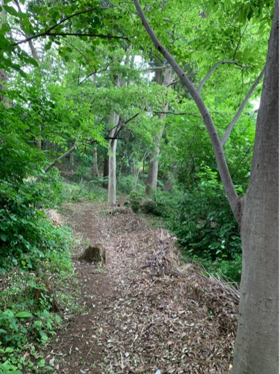 937F4CDA-4395-4859-8995-0F2E51D927AB