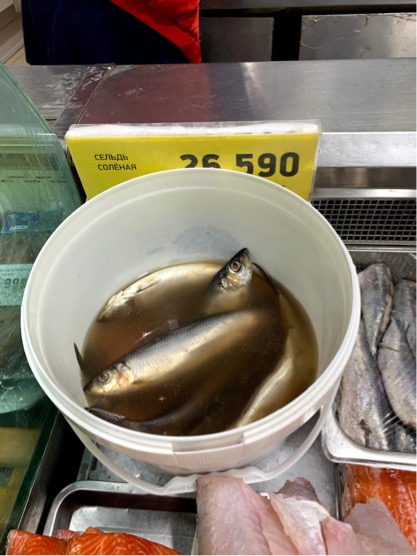 9BC0E5E3-8BBB-45D6-970E-AC9BFB0BA4F2