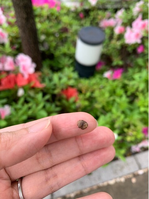 BA5BD061-AF8B-4D72-A1B3-E896EAFF15B9