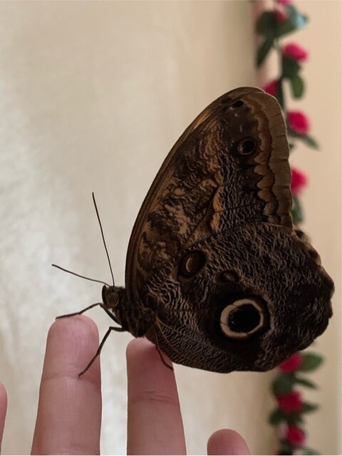 DE7239FF-9DE0-4828-8744-1DC011F7731F