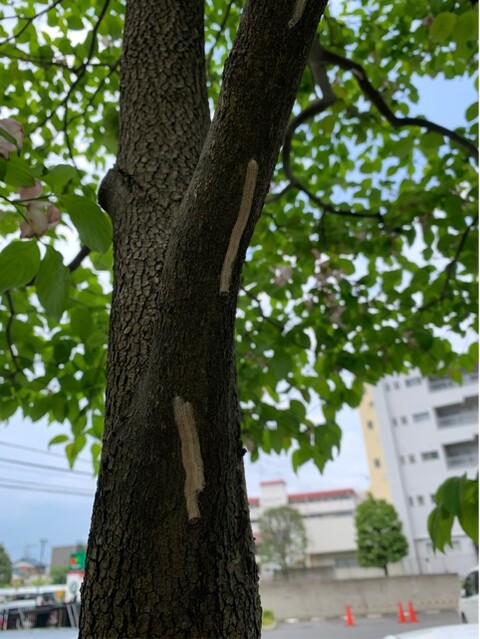 090B3945-7672-4E55-ABBB-627EE840414F