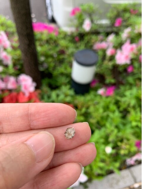 A170A9E6-128B-4024-913F-CF3AF94A54AA