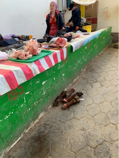 04E1A011-C1C9-474E-A648-A38BA5995CC5