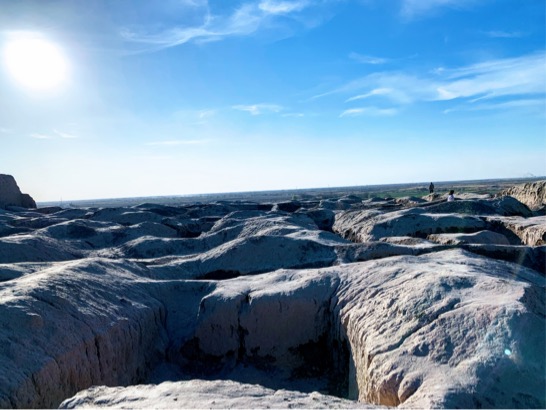 51D34CCC-DAAD-4D21-AF67-3490DF07AAC7